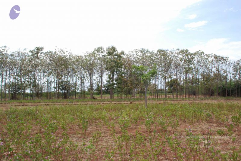 File:20080729 Photo 1047 1ravAsANsFzsiJm8s0kP383Lb4zn1tMA6.JPG