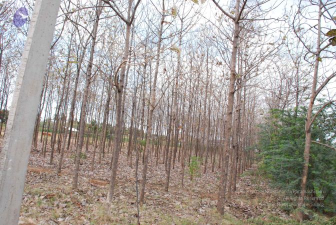 20080729 Photo 1052 1Gsbx30 41qdVmJGzrR6VzsWRS2bToxkb.JPG