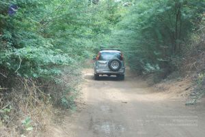 20080729 Photo 1088 12ZiTfGdbvbmT4lO8HADYywmKpp-Tw2OX.JPG