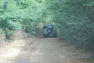 20080729 Photo 1089 1ugYpQhbaPIgQdkcoQ3DY xzGUkjzkV7J.JPG