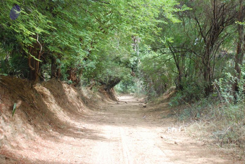 File:20080729 Photo 1100 1ERgVu005Su6LgDQHdYpWZ05rMgX07DCu.JPG