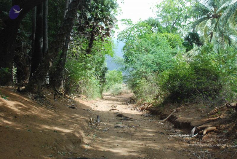File:20080729 Photo 1103 1abCJN6iAB9qlOIRShrzeKdSzzZDLyEX0.JPG