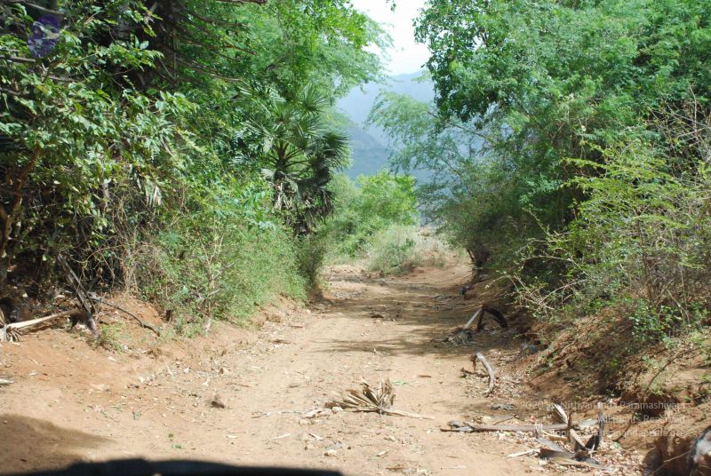 File:20080729 Photo 1105 18apID44RvsXH-Cxm15M6oylj7HdzxIqJ.JPG