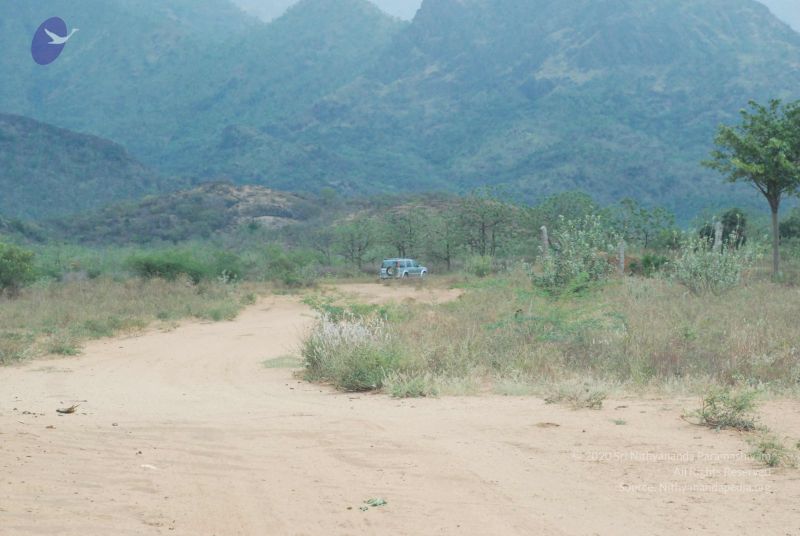 File:20080729 Photo 1108 1UEBcqiqOxsWT Hr7BYGChlgMxa8UdyNn.JPG