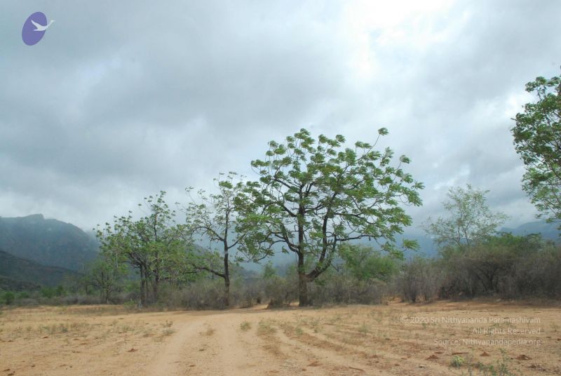 File:20080729 Photo 1111 13fqZn3HOKSIufZalVRPlFZiRSX8goH7u.JPG