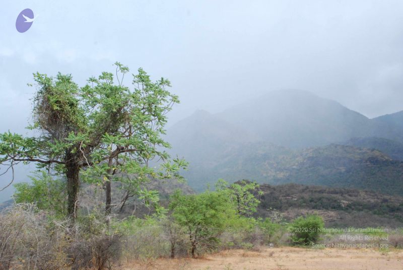 File:20080729 Photo 1189 1VlLsNww82XlZIxrVTrRNjapCDepQLdCf.JPG