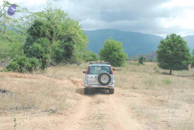 File:20080729 Photo 1201 1LijR~uggR4tReGpXdkfo-qIKvkZKRIi.JPG