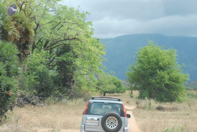 20080729 Photo 1202 17IM6neRtRwP44 SzxV1vC1uKQzkOuFmd.JPG