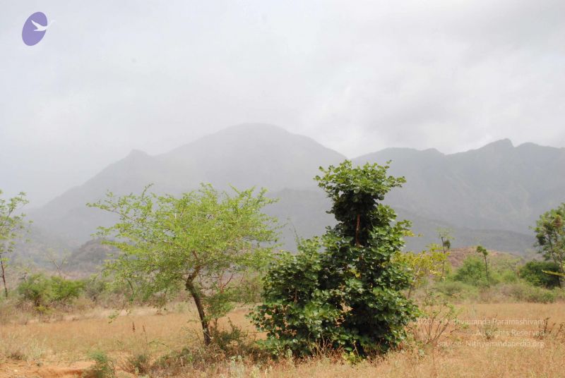 File:20080729 Photo 1213 1Ah9WgMdoL3Prlcp6BaqUSadC2pKPcloN.JPG