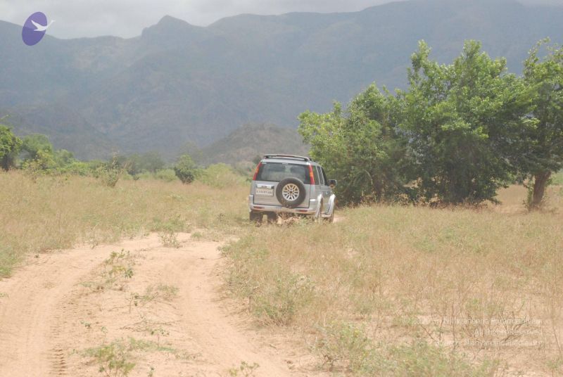 File:20080729 Photo 1216 1J 5AJ3PaQatmV-R1Yaie9YrrQTXLV9Li.JPG