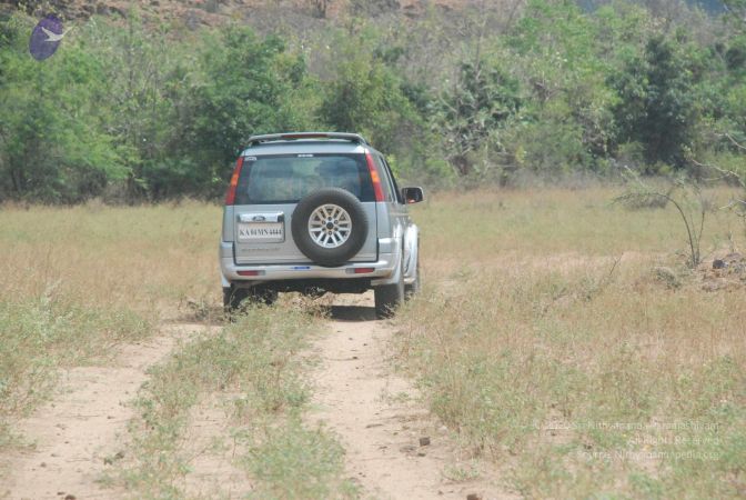 20080729 Photo 1227 1WobKCsuKVEdtsQ8DpzC5pN7VsX1qxumI.JPG