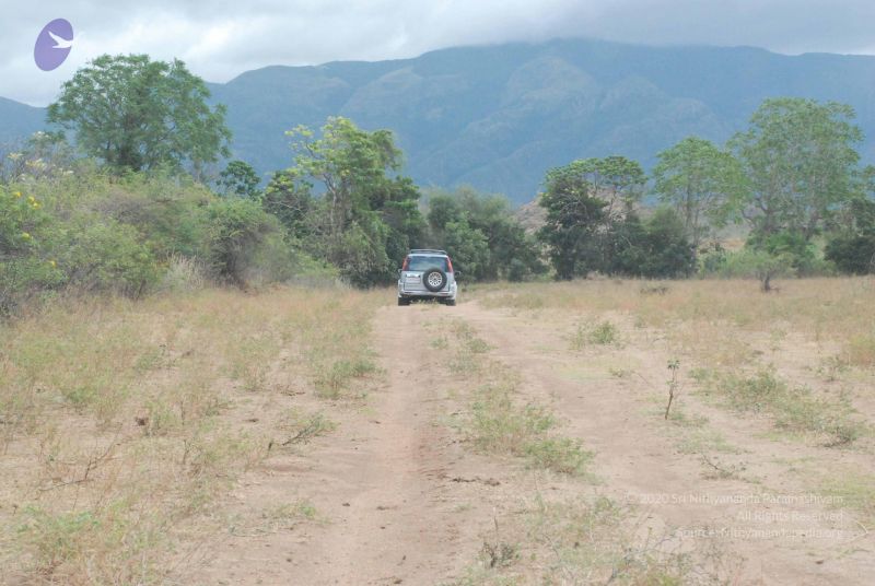 File:20080729 Photo 1230 1Kw99aUvAWGkRQwiRMrx6dZ3y-BCR5qU2.JPG