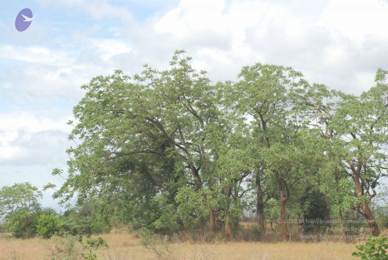 File:20080729 Photo 1237 1l6pL7Dv58gYONuJPW0iukD9FKmwJTSZf.JPG