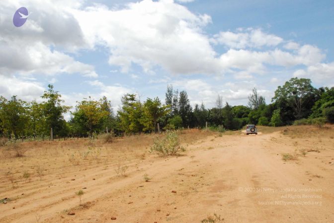 20080729 Photo 1288 1 MsKMd-NcQazJP1ivDcDXyU5 DSroE8R.JPG