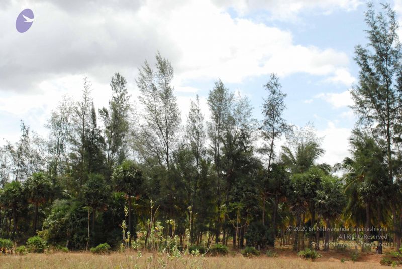 File:20080729 Photo 1291 1rY-436EEZU2t0OVVmJ5dicfLTIqVf43c.JPG