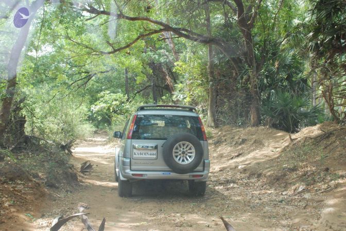 20080729 Photo 1302 15-xVNIiq8aJMTwwDn8DrD5FwpjRfpNRz.JPG