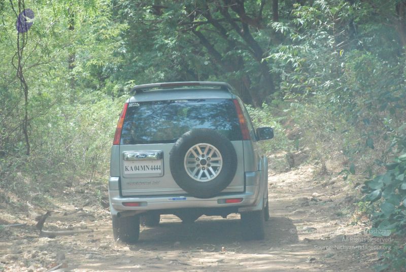 File:20080729 Photo 1305 1yT5Xq1fZMqMAZCeLuD4D3qyHhJpPa6fk.JPG