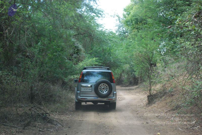 File:20080729 Photo 1306 1RP553DLfdq2jQP8KvHwcwIGYLtzlmGCM.JPG