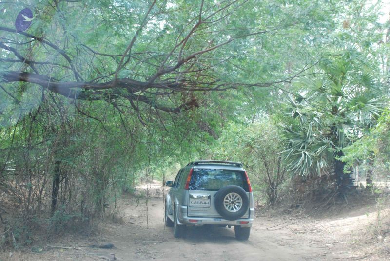 File:20080729 Photo 1309 1hR96dLdZfZ8UAA30mRbpaf9NPVwDur23.JPG