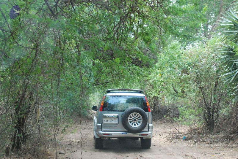 File:20080729 Photo 1310 1dLYO PbbuVbfQOmp0adbibYUWH3qZBt0.JPG