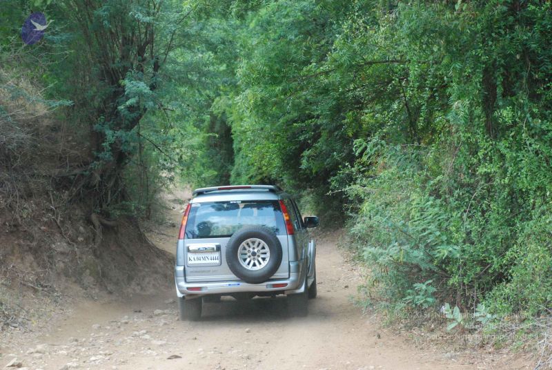 File:20080729 Photo 1318 1yb40UqzARKMS2kb IIBOxlKBsV0PkMBV.JPG
