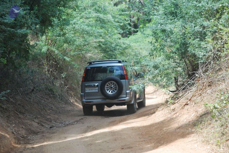 File:20080729 Photo 1334 11xe3osK77L2vsLWEDRu8Jeb rFebW K5.JPG