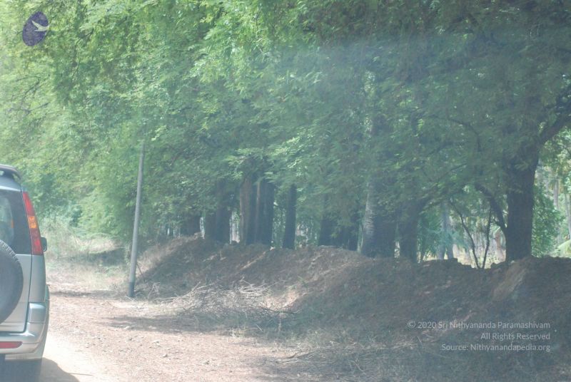 File:20080729 Photo 1339 1O1 XOYZSNJCkKKk0pFXncqVME7POiuie.JPG