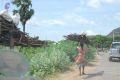 Thumbnail for version as of 05:41, 16 January 2021