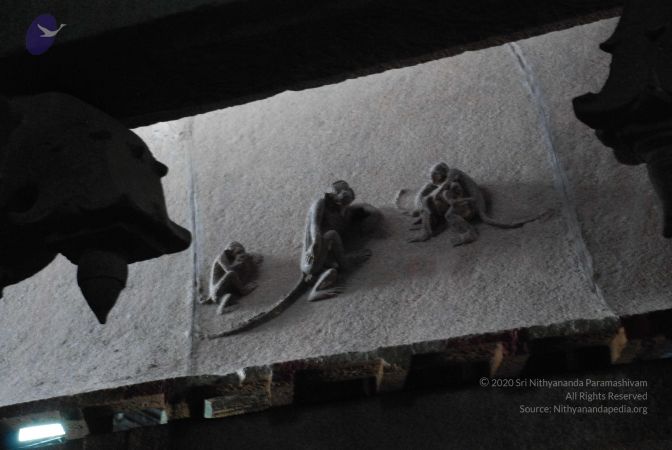 20080729 Photo 1486 1jevSDvsU6qlVYoxvEiiyq8A8uVA5tP8d.JPG