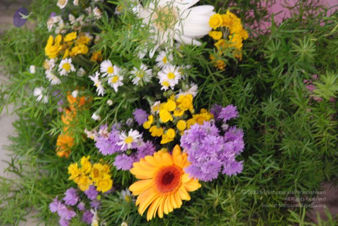 20080729 Photo 1523 1bHsu nfvLXqiD-c86n9dHPOsiDf-Y9Ww.JPG