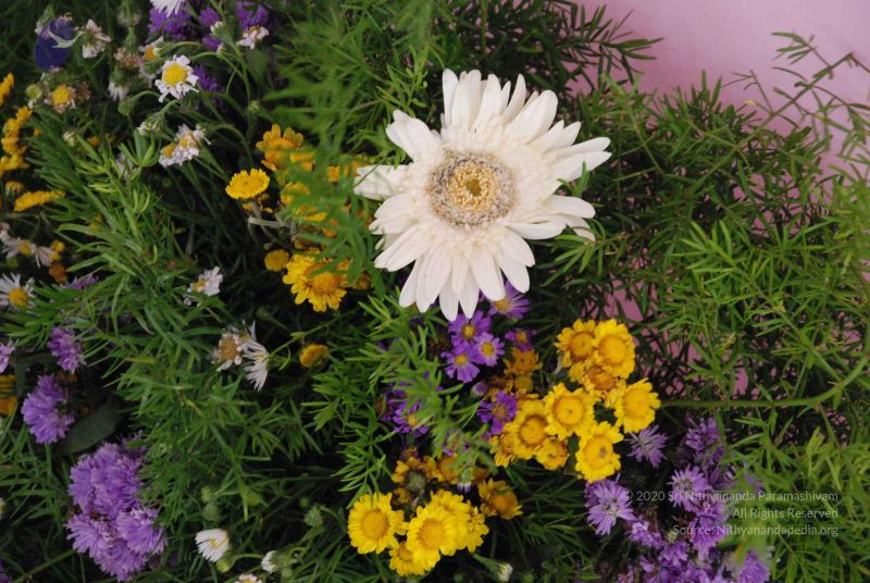 File:20080729 Photo 1524 1Dk29ZvsimtDOVly X3QeASCg10woAMfX.JPG