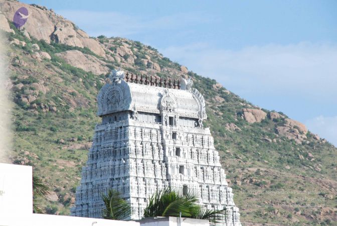 20080801 Photo 1082 1aIOlTbV1Jh CEZHoRF wG3fpnyBxcbWj.JPG