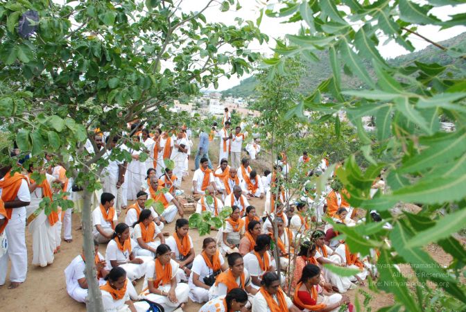 20080802 Photo 1256 1gwUrdsxVCMfvGs1NfX9LQ4lipuJ2GMSN.JPG