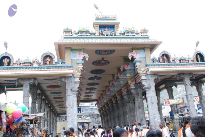 20080802 Photo 1702 1sHvbOf4X02gFoHRKeOSjGabWPPs8Ukb5.JPG