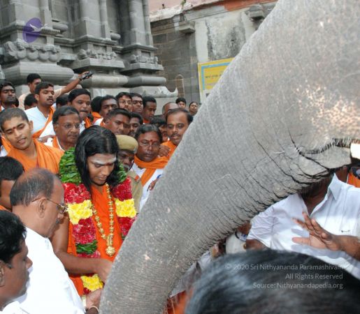 20080802 Photo 1856 19 AtP-UOy0LSjv4hiC7YcDm6s1m 6AmL.JPG