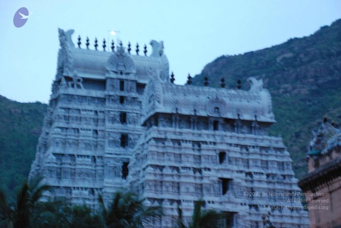 20080802 Photo 1940 1lDHw5GEiEs9RHGcnR8OSZZpl3uMzyI3X.JPG