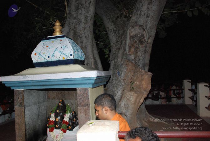 20080802 Photo 2105 1JGBsFMiz3-H2k0IVq4zik4YVA1ZlZPFh.JPG