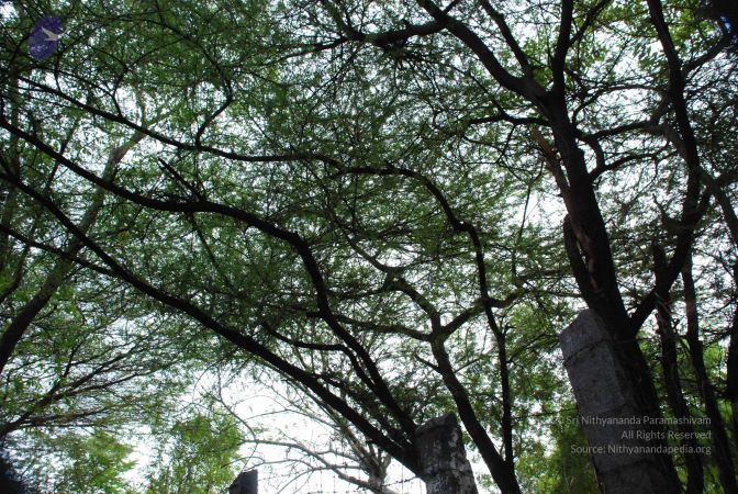 20080803 Photo 1078 1TrbWcMa0IAqCg2q0aOeA30auCLIk3u2h.JPG