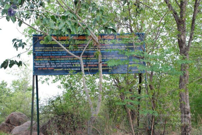 20080803 Photo 1079 1EPwiwCd9EBQSNgwqehNJmOYo58VrAcRl.JPG