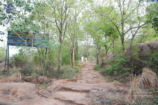 20080803 Photo 1080 15zL-hd tO7sJn5ChvMasHYCIBdaOCgY9.JPG