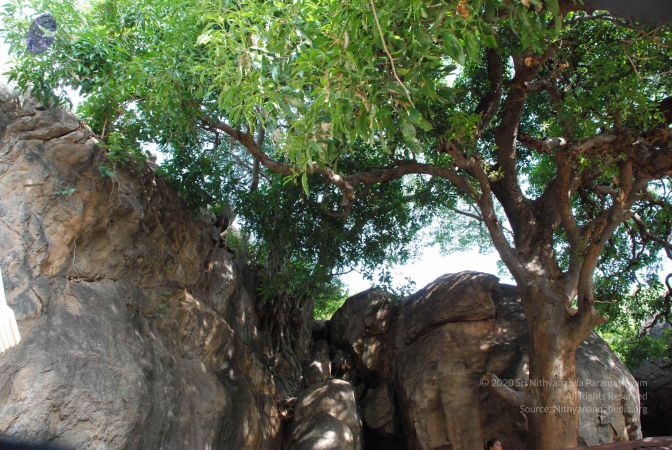 20080803 Photo 1147 1gJ0VFef57JDsbzmyggt1Z0cUfaN2zkpV.JPG