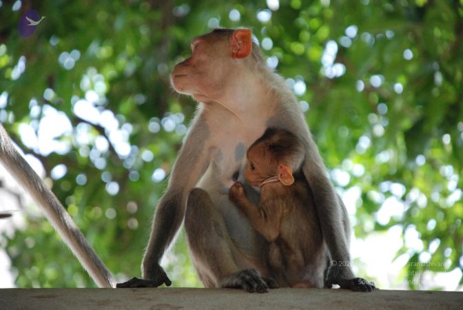 20080803 Photo 1181 1gADp32hypAvfGQGS9n8p0gkG3OVaJJ7H.JPG