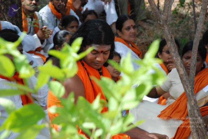 20080803 Photo 1282 1GHCcHROhZC7W96AjP34nTY3zrWtP5n7s.JPG