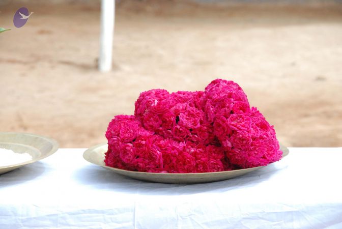 20080803 Photo 1514 1hDhdvcyKs0XtDkbO3zU7rRUS4YGu4Zk9.JPG