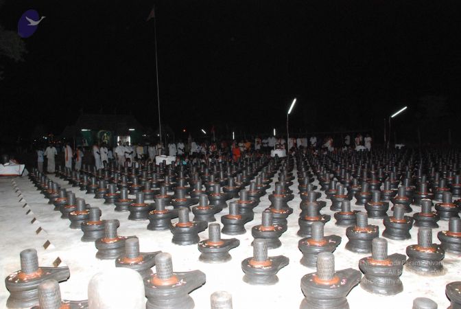 20080803 Photo 2208 1hQRL9demguB7IS7B4zqKWaHR61vr3FK7.JPG