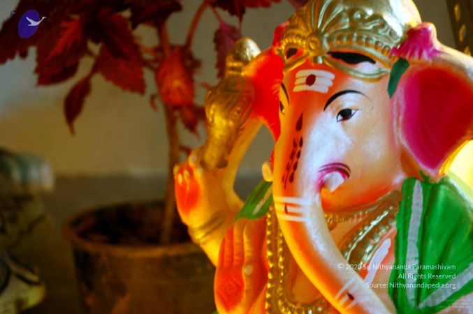 20081001DSC 9495 CMP WM00100.jpg