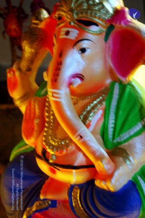 20081001DSC 9496 CMP WM00100.jpg