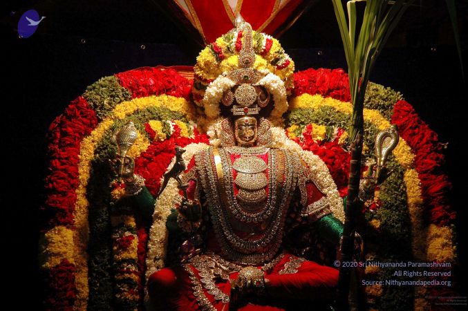 20081001DSC 9581 CMP WM00100.jpg