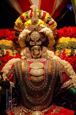 20081001DSC 9584 CMP WM00100.jpg