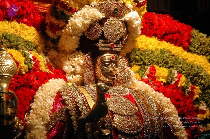 20081001DSC 9594 CMP WM00100.jpg